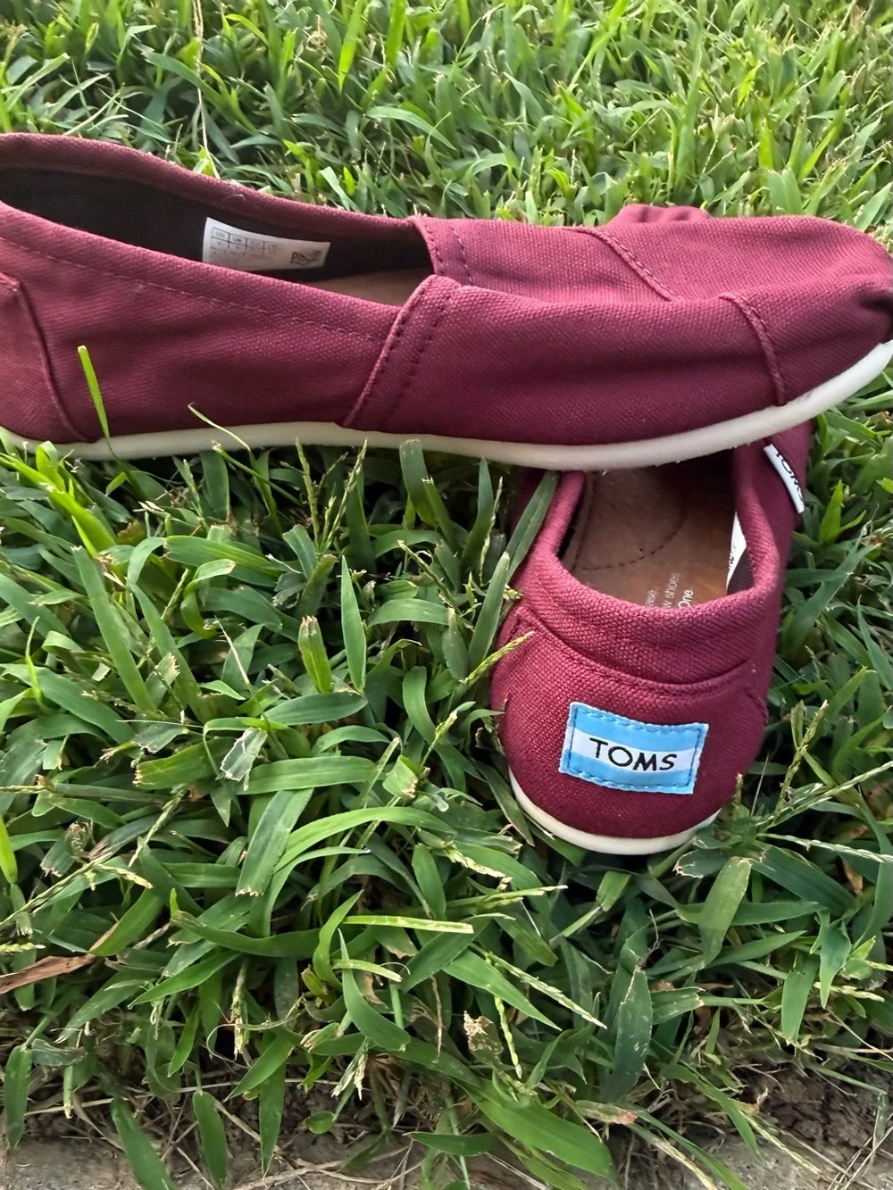 Toms Women’s Slip-On Espadrilles in Deep Raspberry